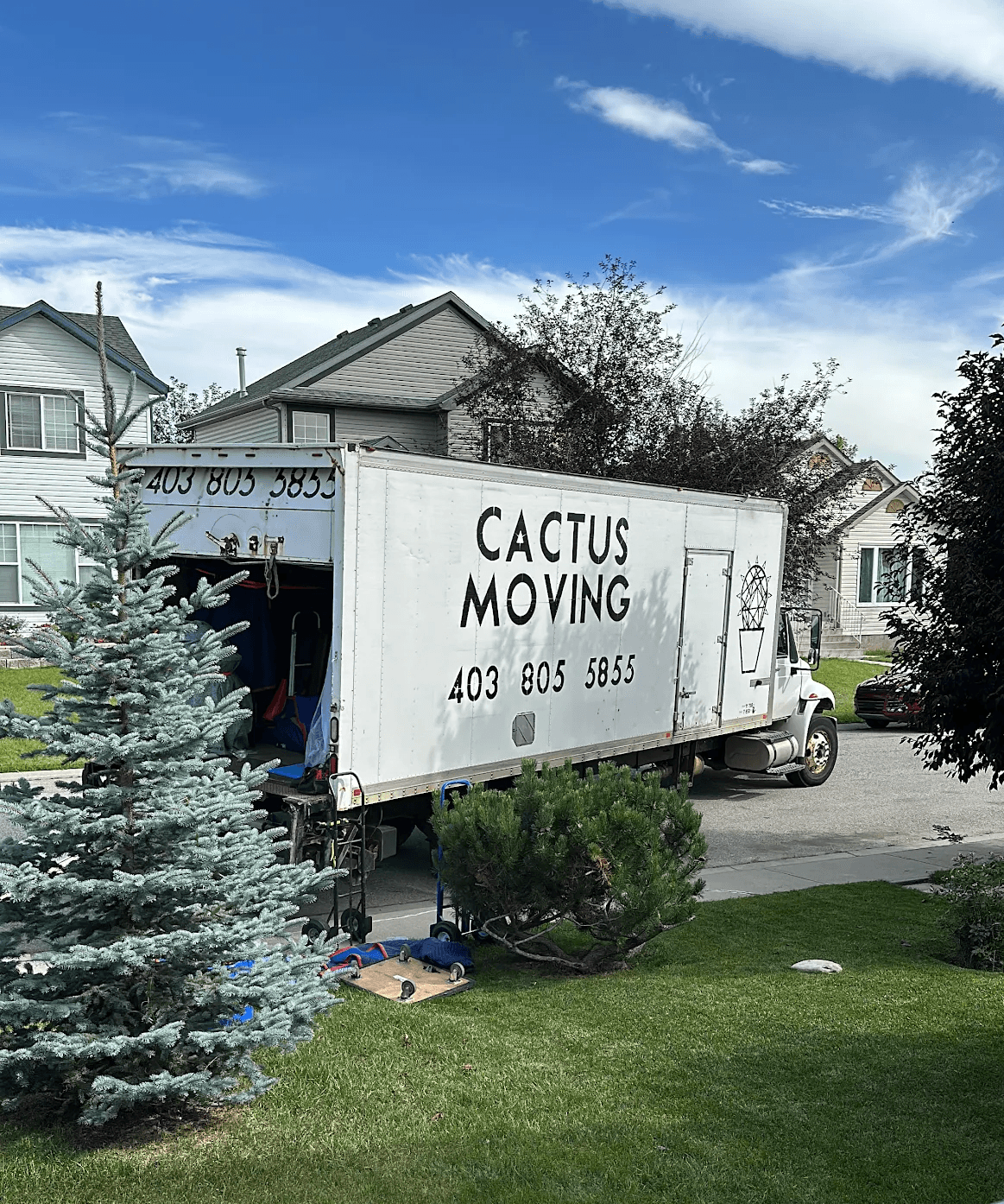 Cactus Moving grows consistently through real-estate leads